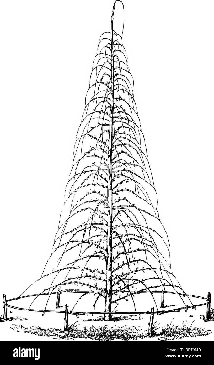 . The parks and gardens of Paris, considered in relation to the wants ...