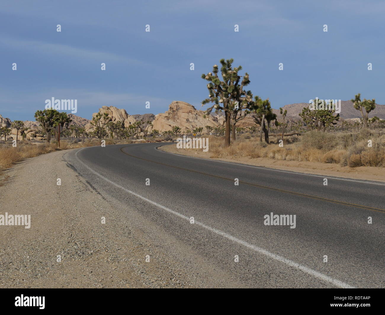 Road distance Joshua tree loneliness Stock Photo