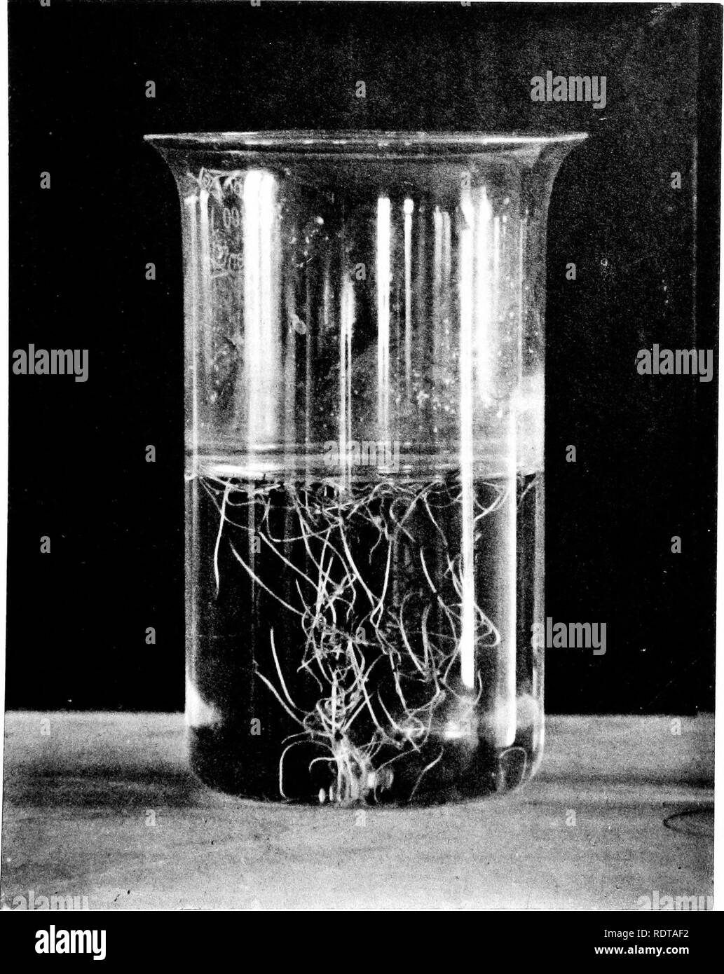 Flotation Basin High Resolution Stock Photography and Images Alamy