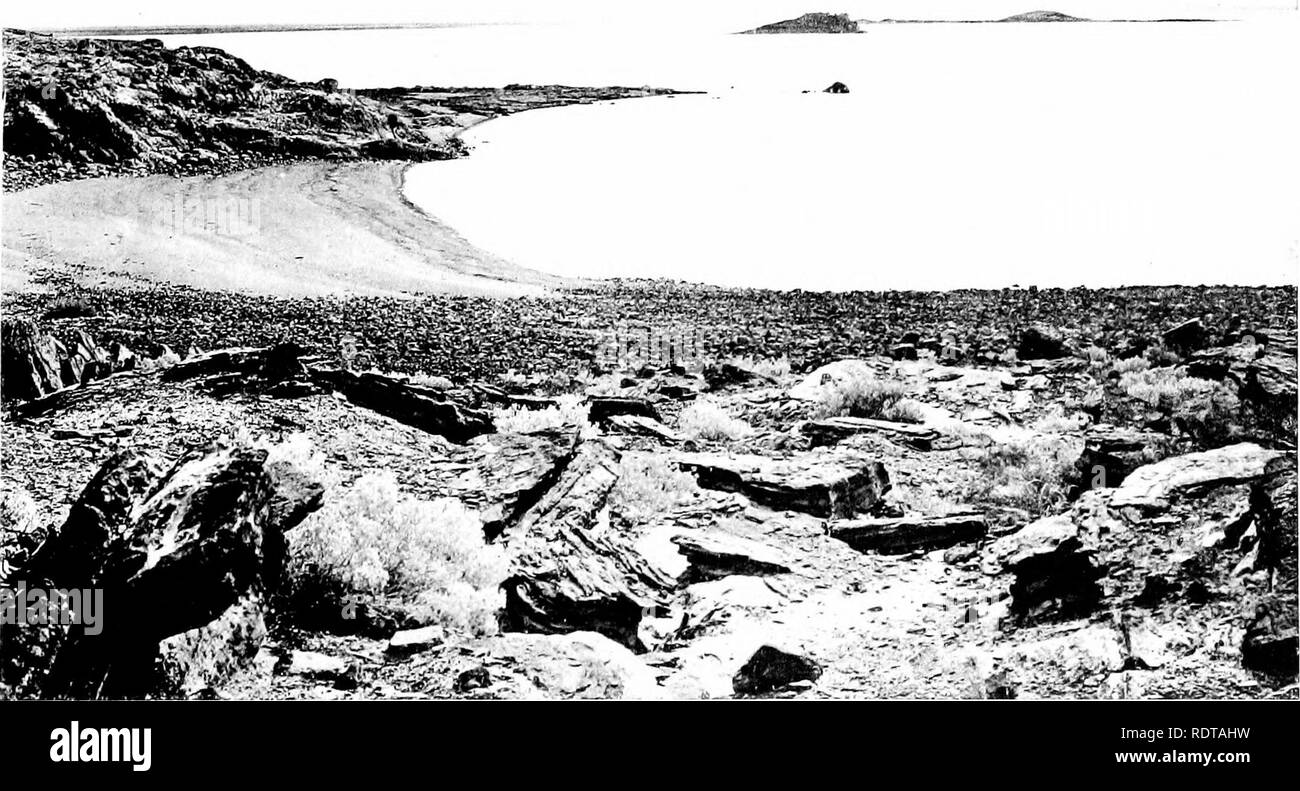 . The Salton Sea; a study of the geography, the geology, the floristics, and the ecology of a desert basin. â-- i '. â â¢ -â - ' -^rf^i ^ p. A. View northward parallel to the shore from middle of Emersion of 1907, Imperial Junction Beach, taken February 1908. Atriplex, Suaeda, and Spirostachys zone in middle. Denser Vegetation on right is above Flood Level, and Boat is moored near Shore on left. B. View from Obsidian Island toward the southwest, showing West Bay of that Island; Rock Island in middle distance and Big Island to the right.. Please note that these images are extracted from scanned Stock Photo