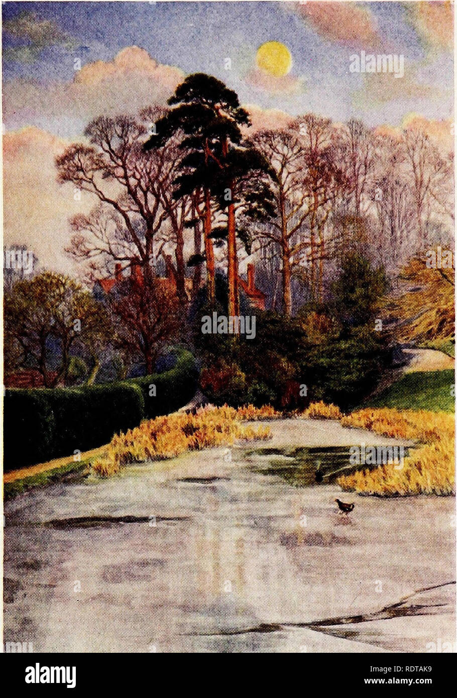 . Gardens of England . Gardening; Gardens. . Please note that these images are extracted from scanned page images that may have been digitally enhanced for readability - coloration and appearance of these illustrations may not perfectly resemble the original work.. Cook, E. T. (Ernest Thomas), 1867-1915; Parsons, Beatrice E. , illus. London : A. &amp; C. Black Stock Photo