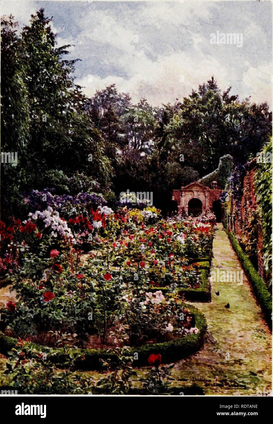 . Gardens of England . Gardening; Gardens. . Please note that these images are extracted from scanned page images that may have been digitally enhanced for readability - coloration and appearance of these illustrations may not perfectly resemble the original work.. Cook, E. T. (Ernest Thomas), 1867-1915; Parsons, Beatrice E. , illus. London : A. &amp; C. Black Stock Photo