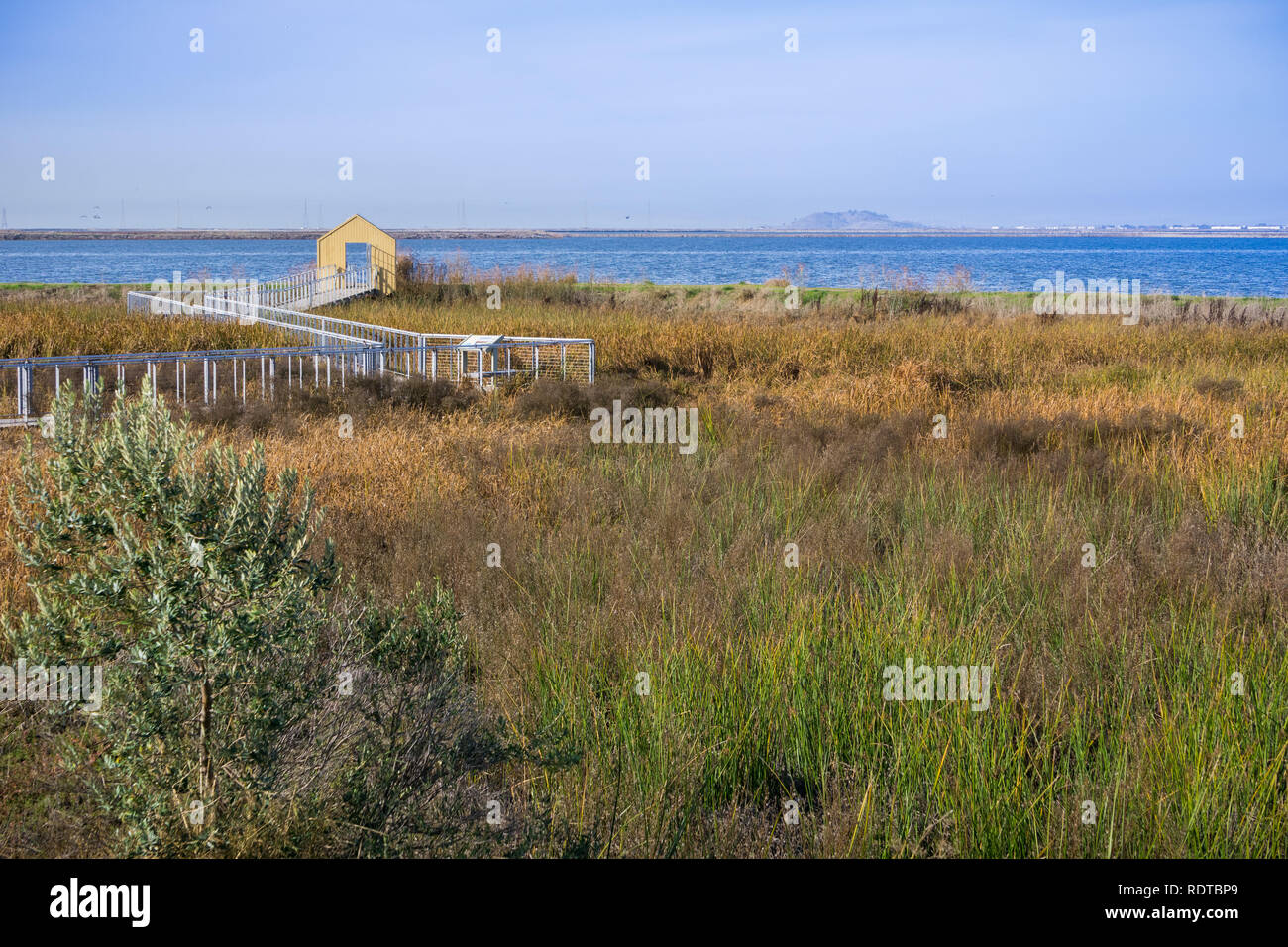 Walkway through the marsh at Alviso Marina County Park, San Jose, Santa Clara county, California Stock Photo