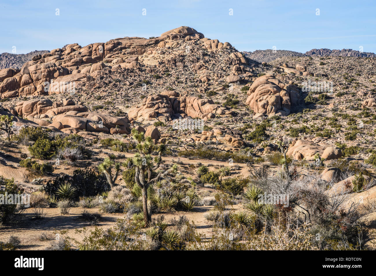 Joshua Tree National Park, Twentynine Palms, 29 Palms, California, USA Stock Photo Alamy