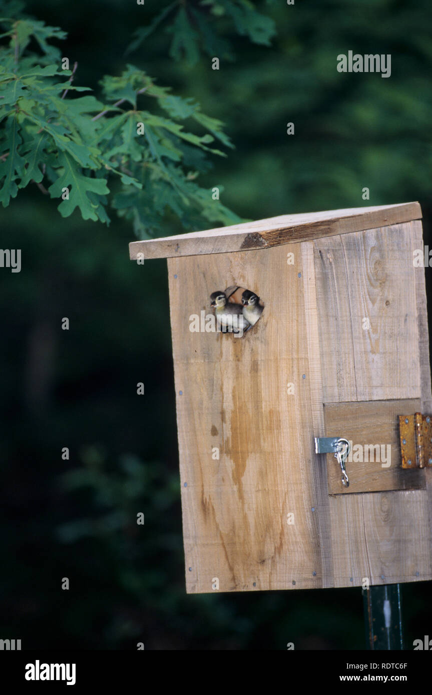 00714 hires stock photography and images Alamy