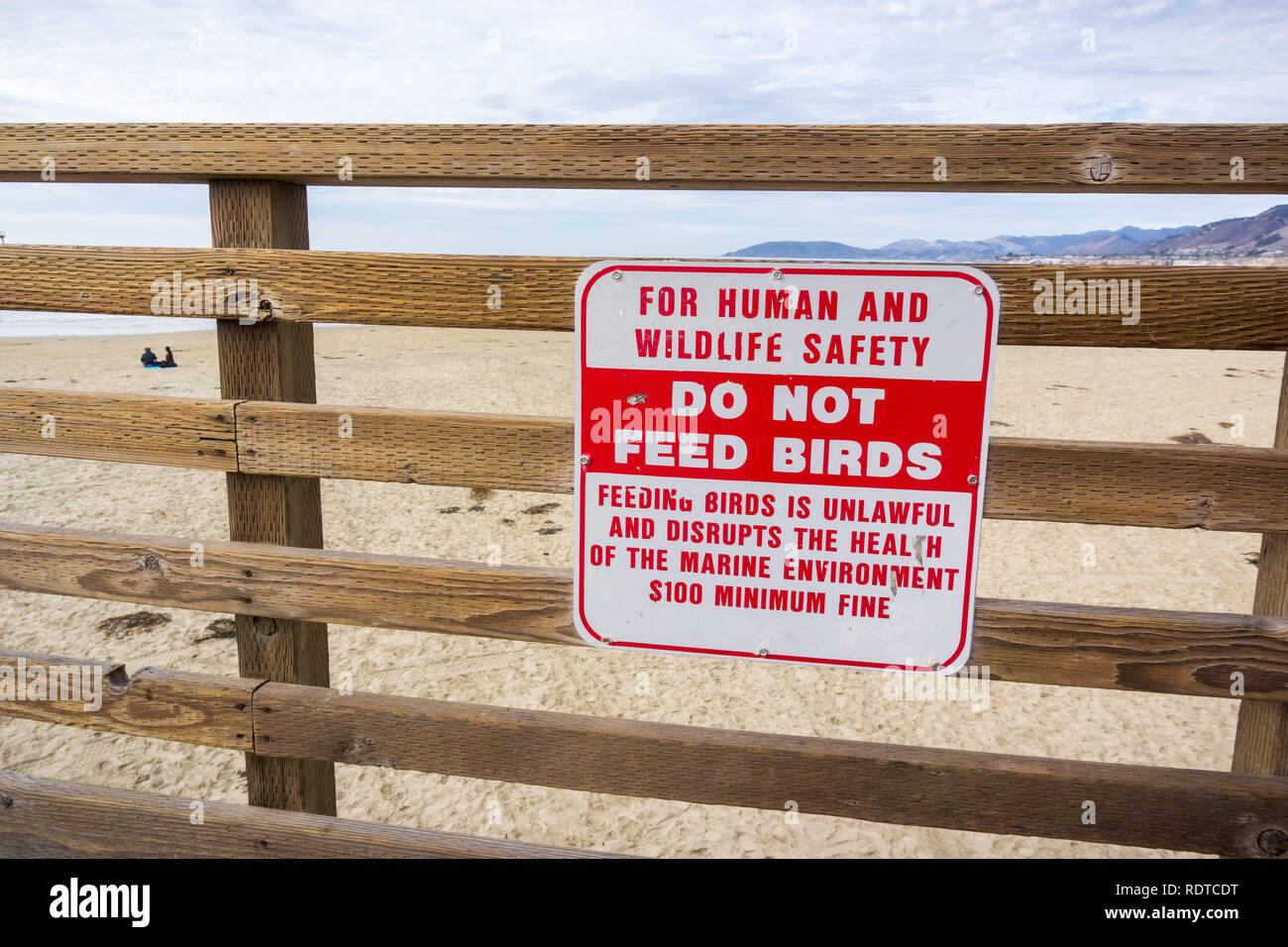 "Do not feed birds" sign posted on the Pacific Ocean shoreline, Pismo Beach, California Stock