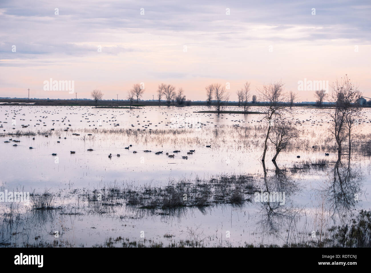 Llano seco unit hires stock photography and images Alamy