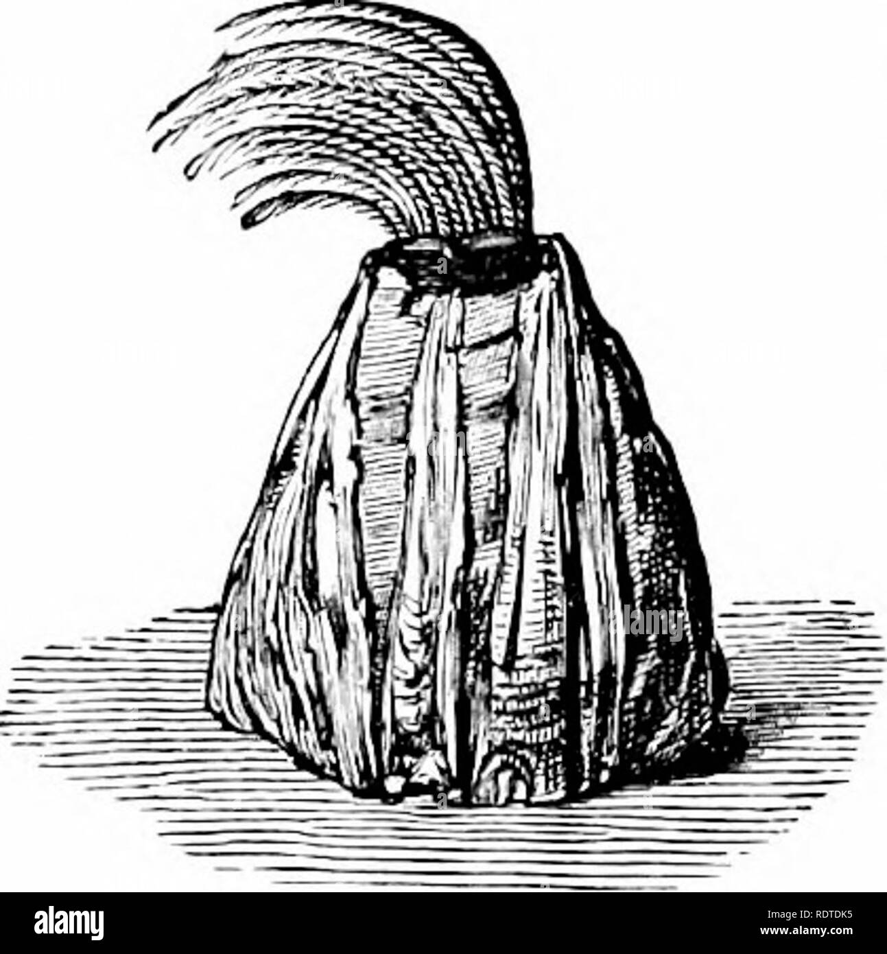 . Zoology. Zoology. 86 ZOOLOGY. Order 1. Cirripedia.—The barnacles would, at a first glance, liardly be I'egardcd as Ci'ustacea at all, so much modified is the form, owing to their fixed, parasitic mode of life. Tlie barnacle is, as in the common sessile form (Fig. 100), a shell-like animal, the shell composed of sev- eral pieces, with a conical movable lid, having an opening through which several pairs of long, many-jointed, hairy ap- pendages are thrust, thus cre- ating a current which sets in towards the mouth. The com- mon barnacle {Balanus lalanoi- des) abounds on every rocky shore from e Stock Photo