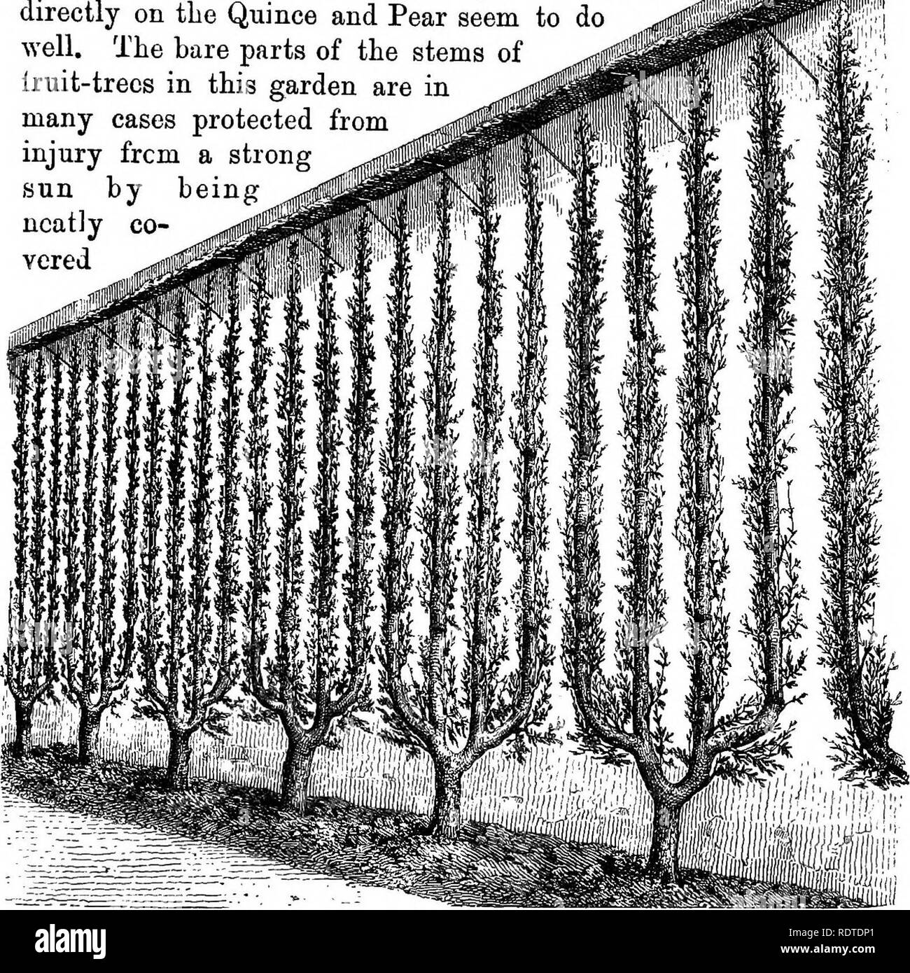 The Parks And Gardens Of Paris Considered In Relation To The Wants Of Other Cities And Of The Public And Private Gardens Being Notes On A Study Of Paris Gardens Gardening