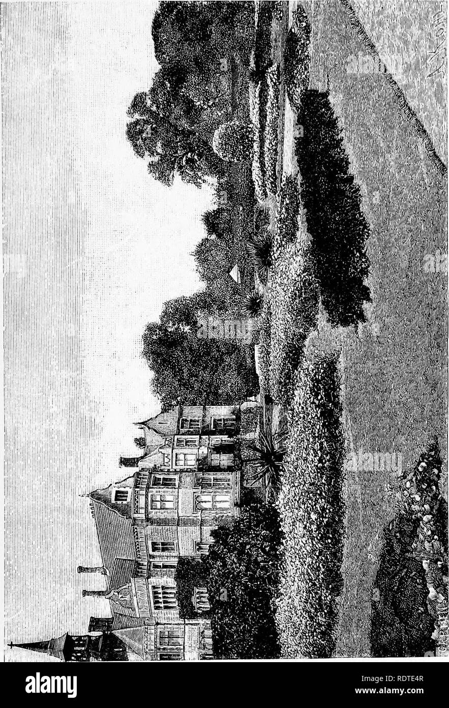 Garden Design And Architects Gardens Two Reviews Illustrated To Show By Actual Examples From British Gardens That Clipping And Aligning Trees To Make Them Harmonise With Architecture Is Barbarous Needless And