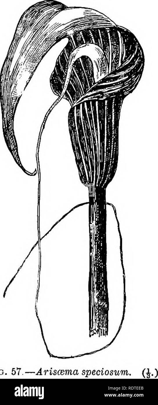 7910 High Resolution Stock Photography And Images Alamy