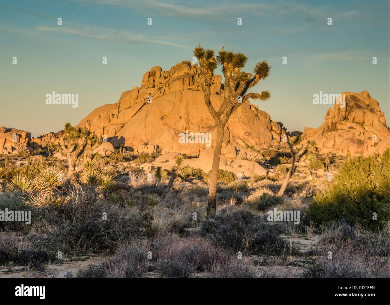 Joshua Tree National Park, Twenty-nine Palms, 29 Palms, California, USA ...