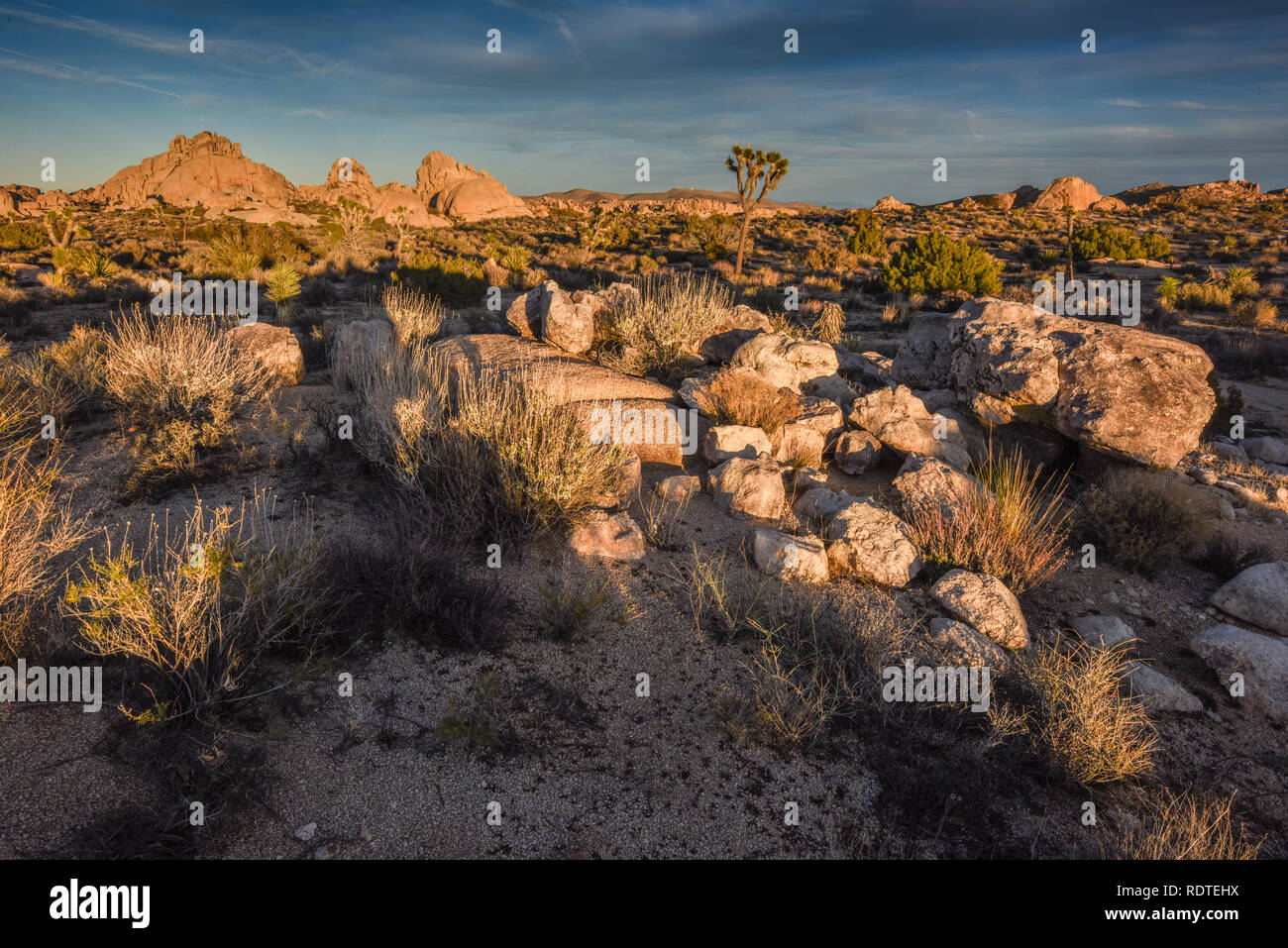 Joshua Tree National Park, Twentynine Palms, 29 Palms, California, USA Stock Photo Alamy