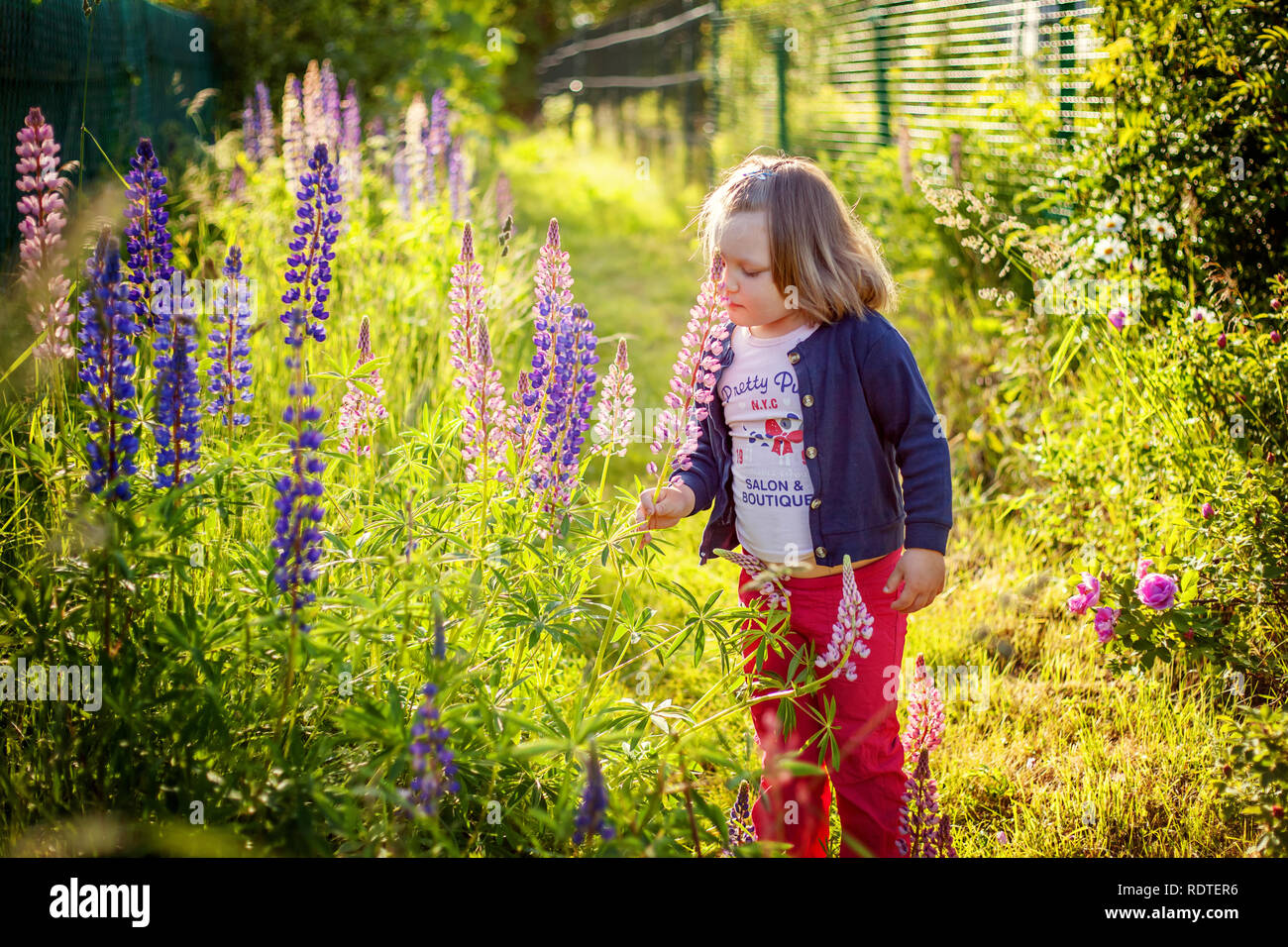 Happy cute little girl standing on meadow with wild flowers in park or ...
