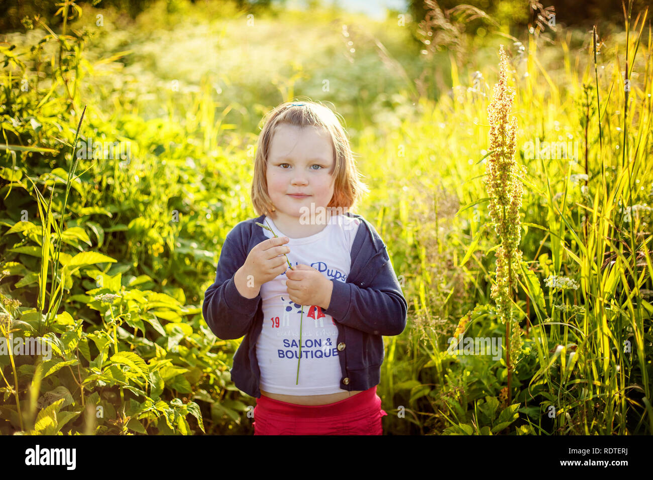Happy cute little girl standing on meadow with wild flowers in park or ...