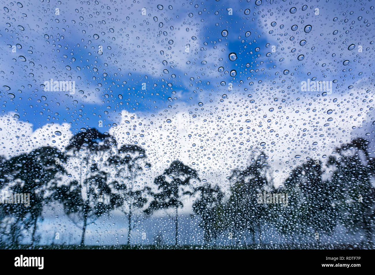 The clouds are breaking and the sun is coming out after a storm; Drops of rain on the window; blurred trees in the background; Stock Photo