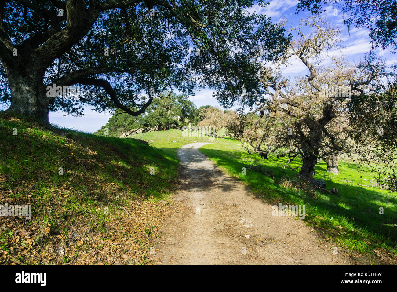 Hiking trail in Coyote Lake Harvey Bear Ranch County Park, Gilroy