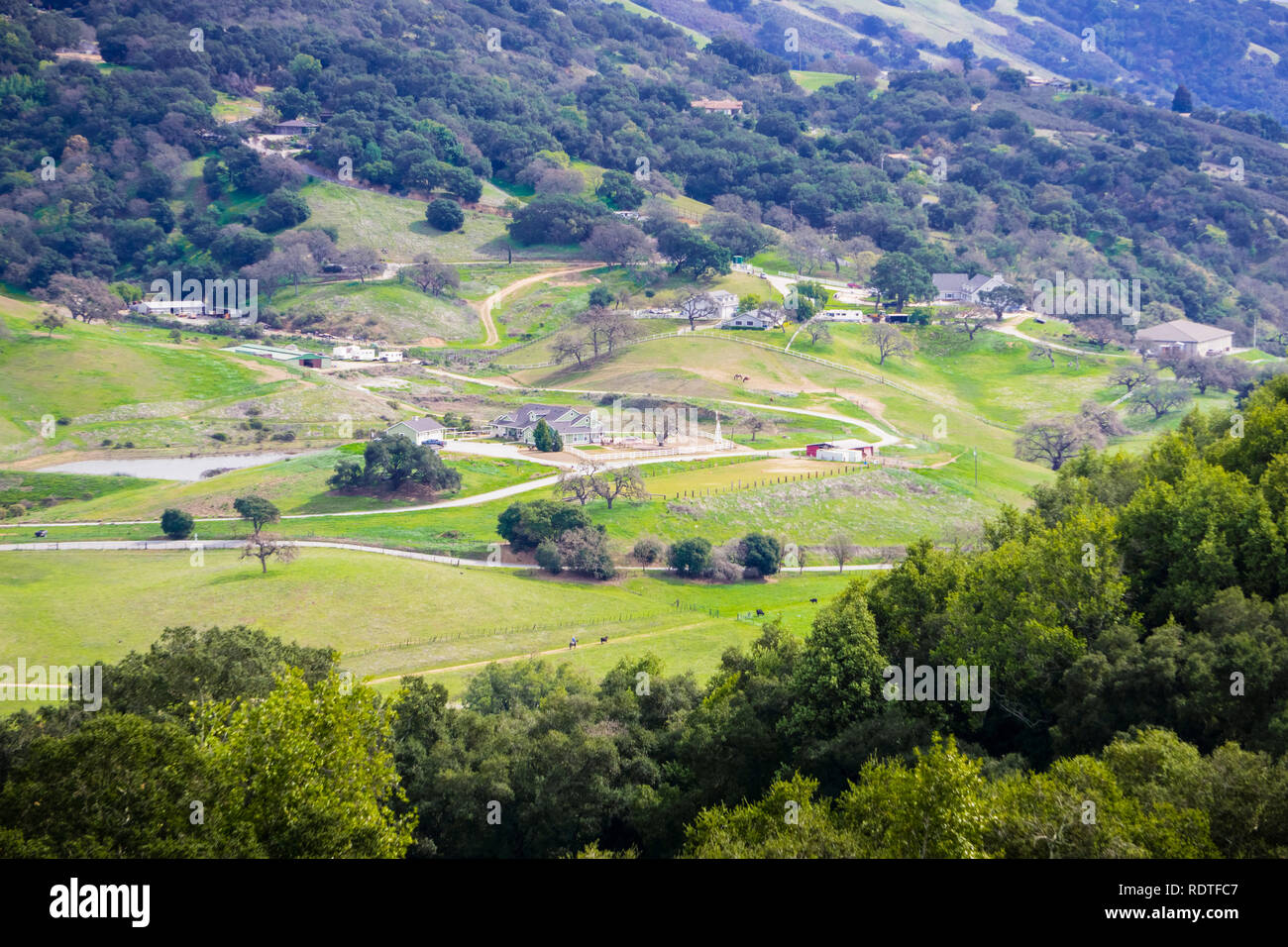 Oak trees gilroy california hires stock photography and images Alamy