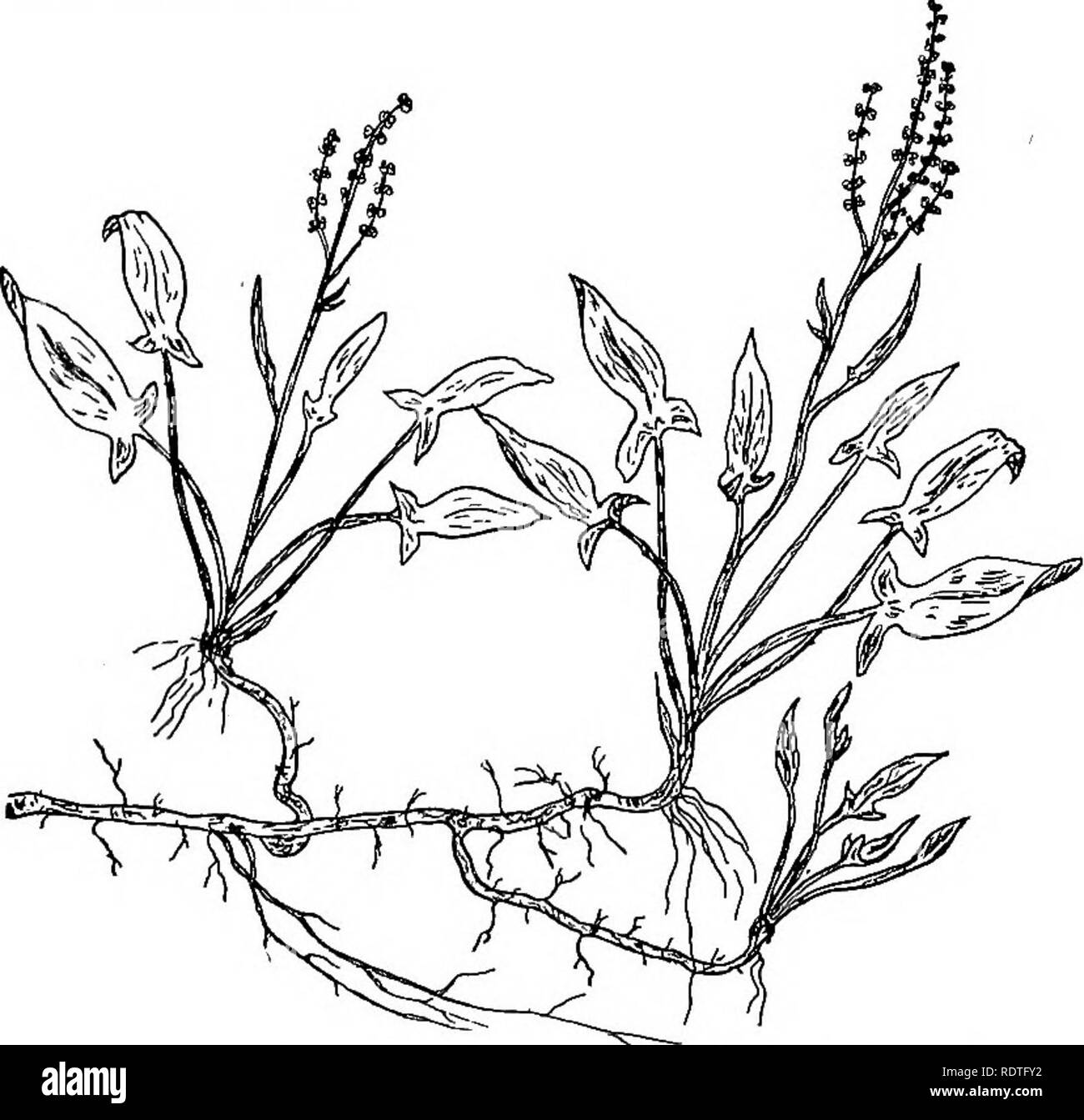 Aerial terminal Cut Out Stock Images & Pictures Alamy