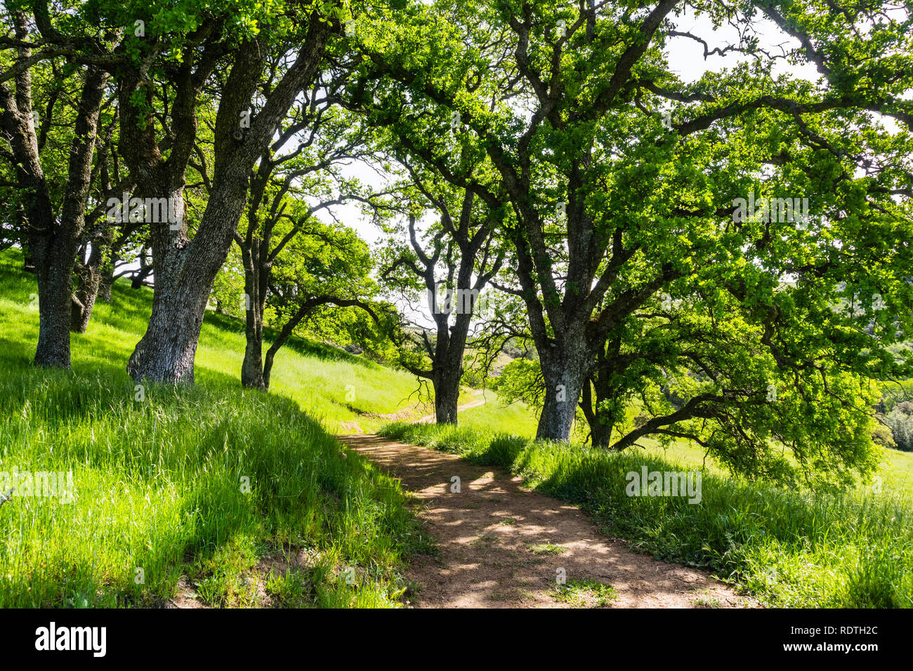 South park open space hi-res stock photography and images - Alamy