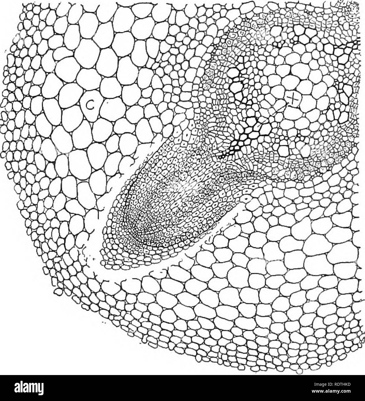 Longitudinal axes Black and White Stock Photos & Images Alamy