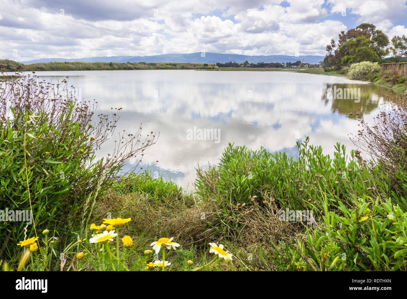 Landscape in Palo Alto Baylands Park, south San Francisco bay area, California Stock Photo