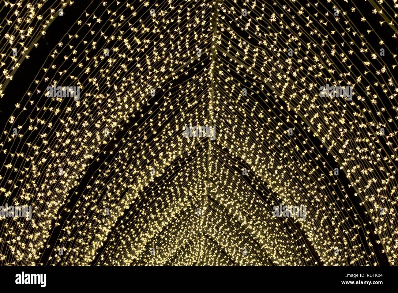 100m long Cathedral of Light at Christmas at Kew Gardens 2018 Stock Photo