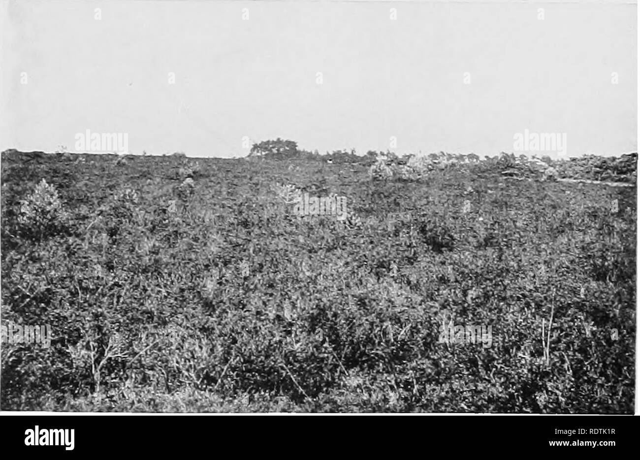 Ashdown formation hi-res stock photography and images - Alamy