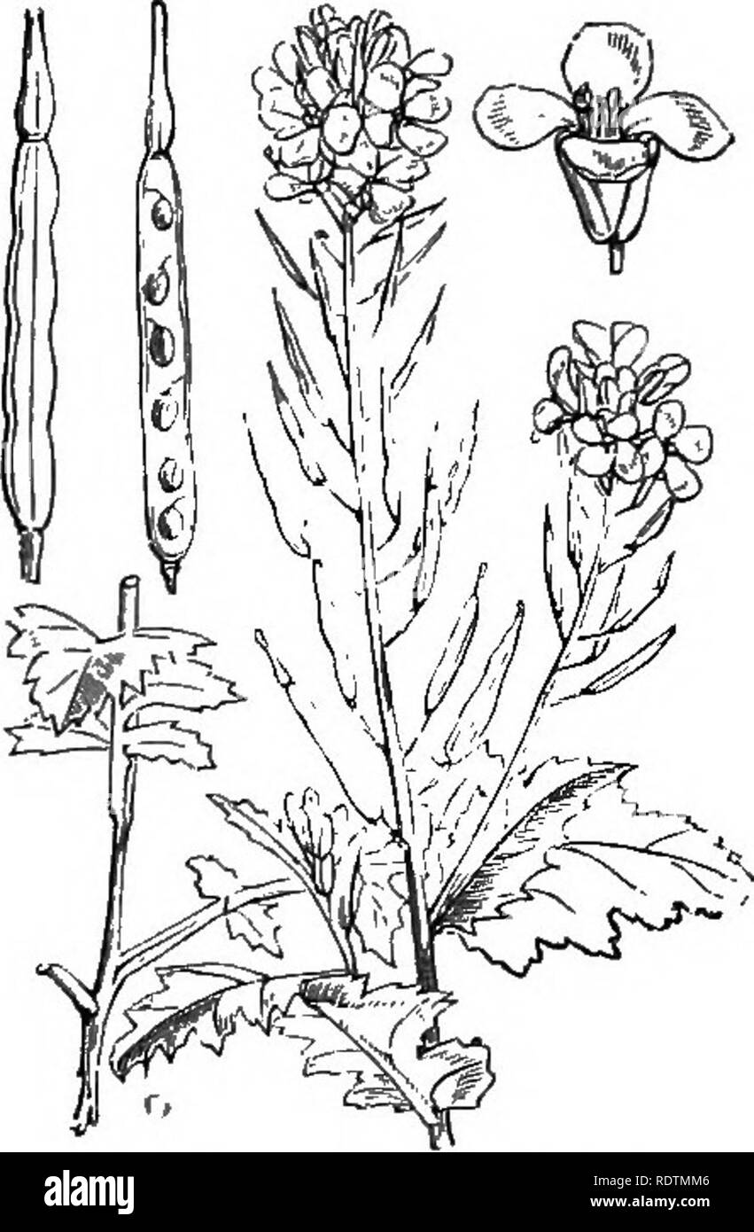 brassière avec fermeture devant