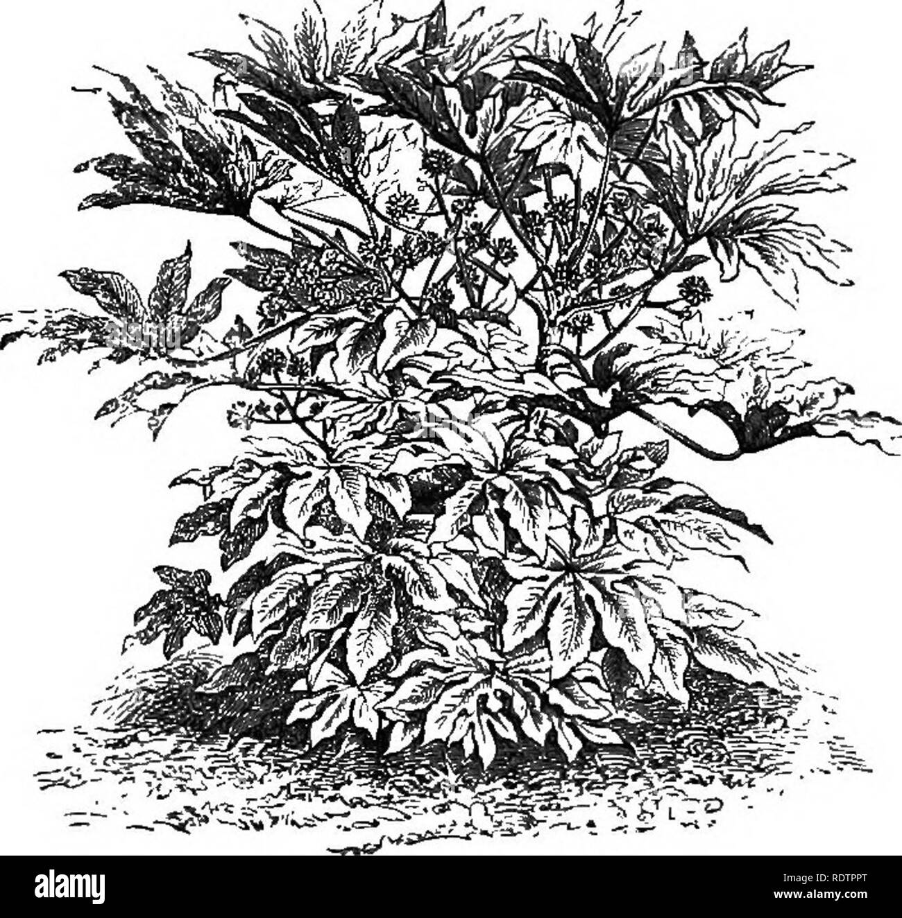 . Gleanings from French gardens: comprising an account of such features ...