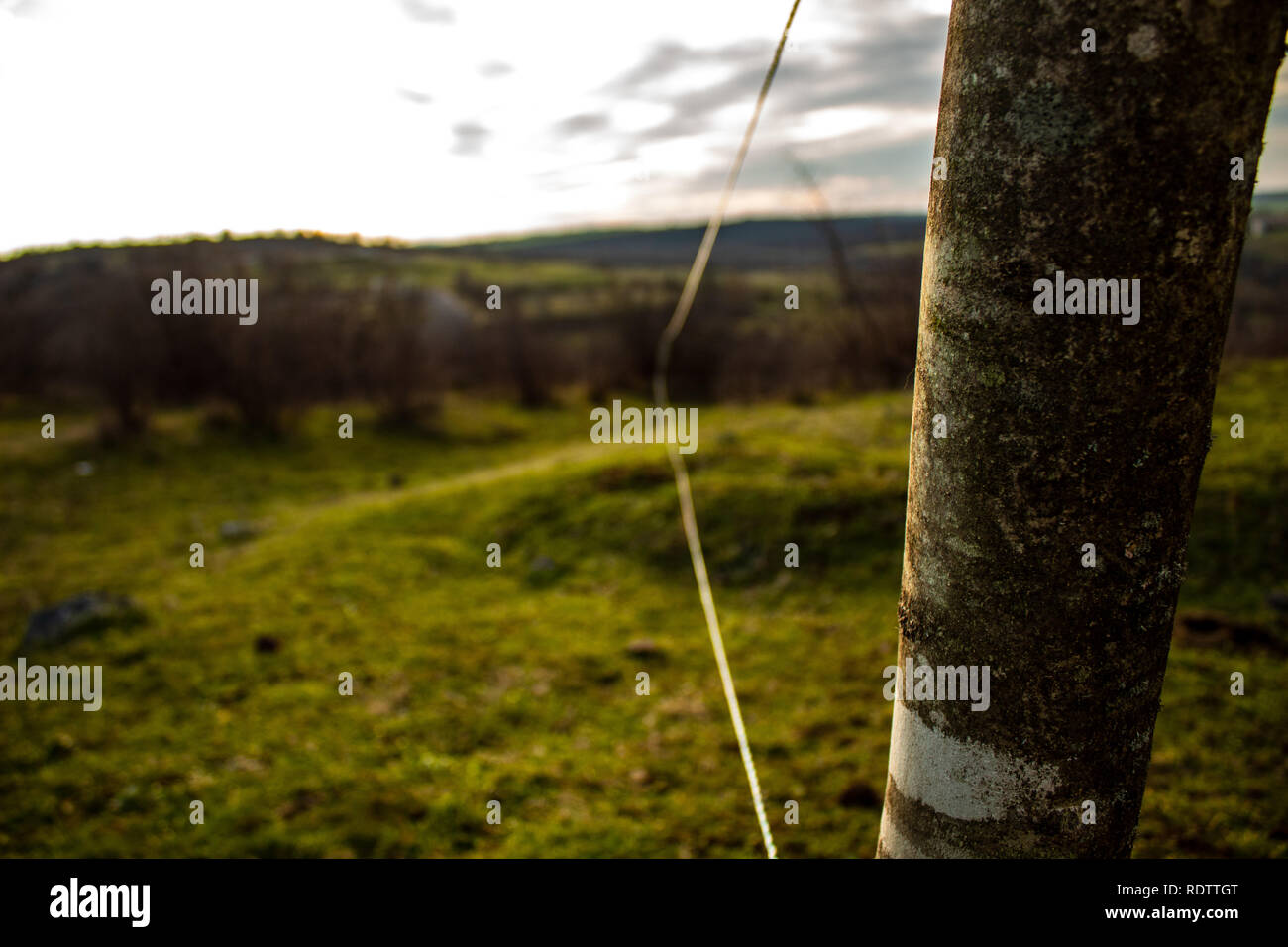 Rope fences hi-res stock photography and images - Alamy