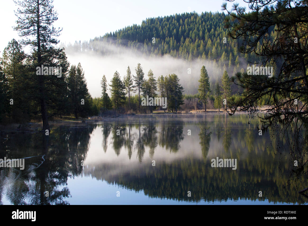 Morning fog creates a stunning reflection on the lake Stock Photo