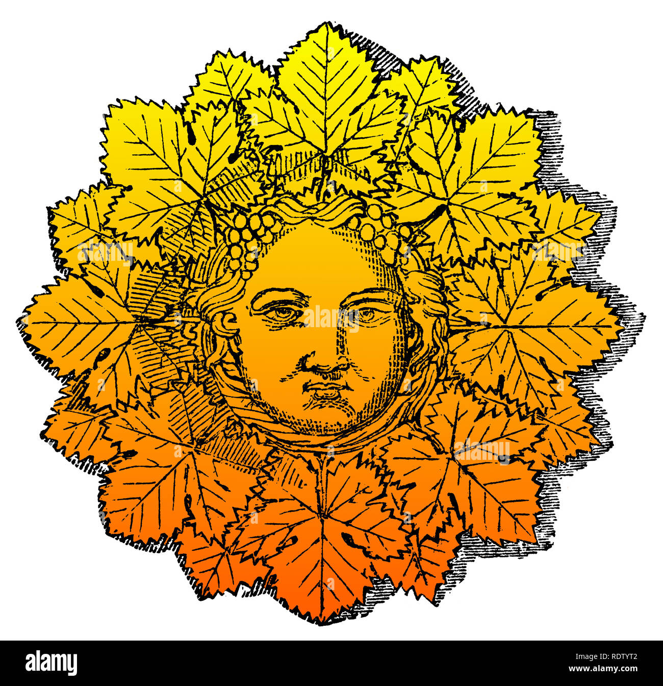 Bacchus sun with grape leaves in yellow and orange Stock Photo