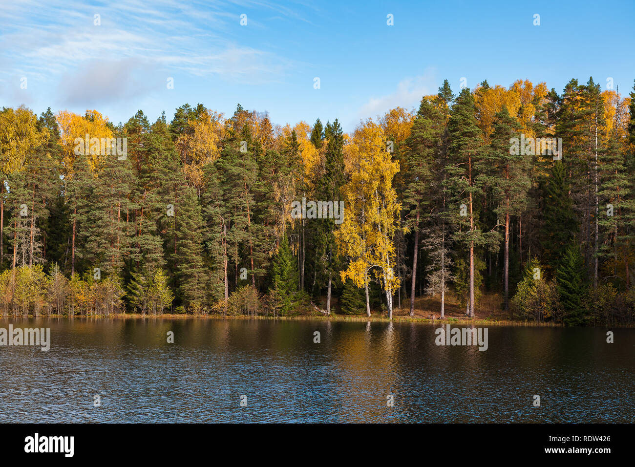 Autumn colorful foliage with lake reflection Stock Photo - Alamy