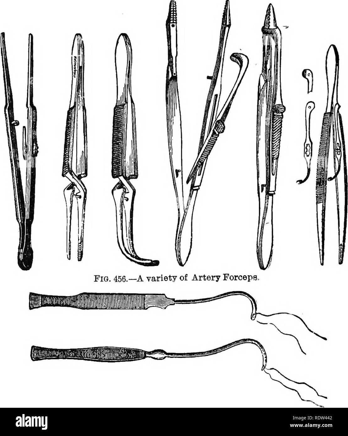. Manual of operative veterinary surgery. Veterinary surgery. 534 OPERATIONS ON THE CIECULATOEY SYSTEM. The kind of forceps used are known as artery forceps, and are of numerous varieties.. Fig. 457.—Cooper Needles, or Tenaculum. The tenaculum, or aneurism needle, is a kind of blunt tenacu- lum with an eye at its end, and is used to seize or secure the vessels. The suture materials are linen thread, sUk, animal ligatures, such as catgut or tendinous fibrilla, and sometimes very fine me- tallic wire. Ordinary linen thread and silk, well waxed, are most commonly used in veterinary practice. (a)  Stock Photo