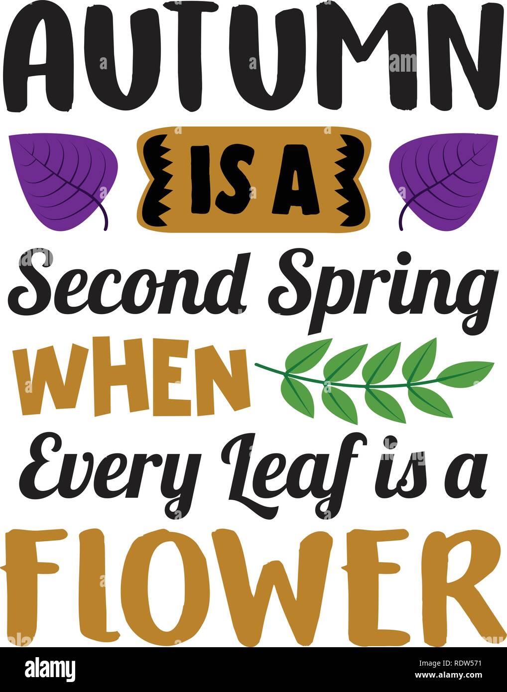 Spring lettering quotes illustration Stock Vector Images - Alamy