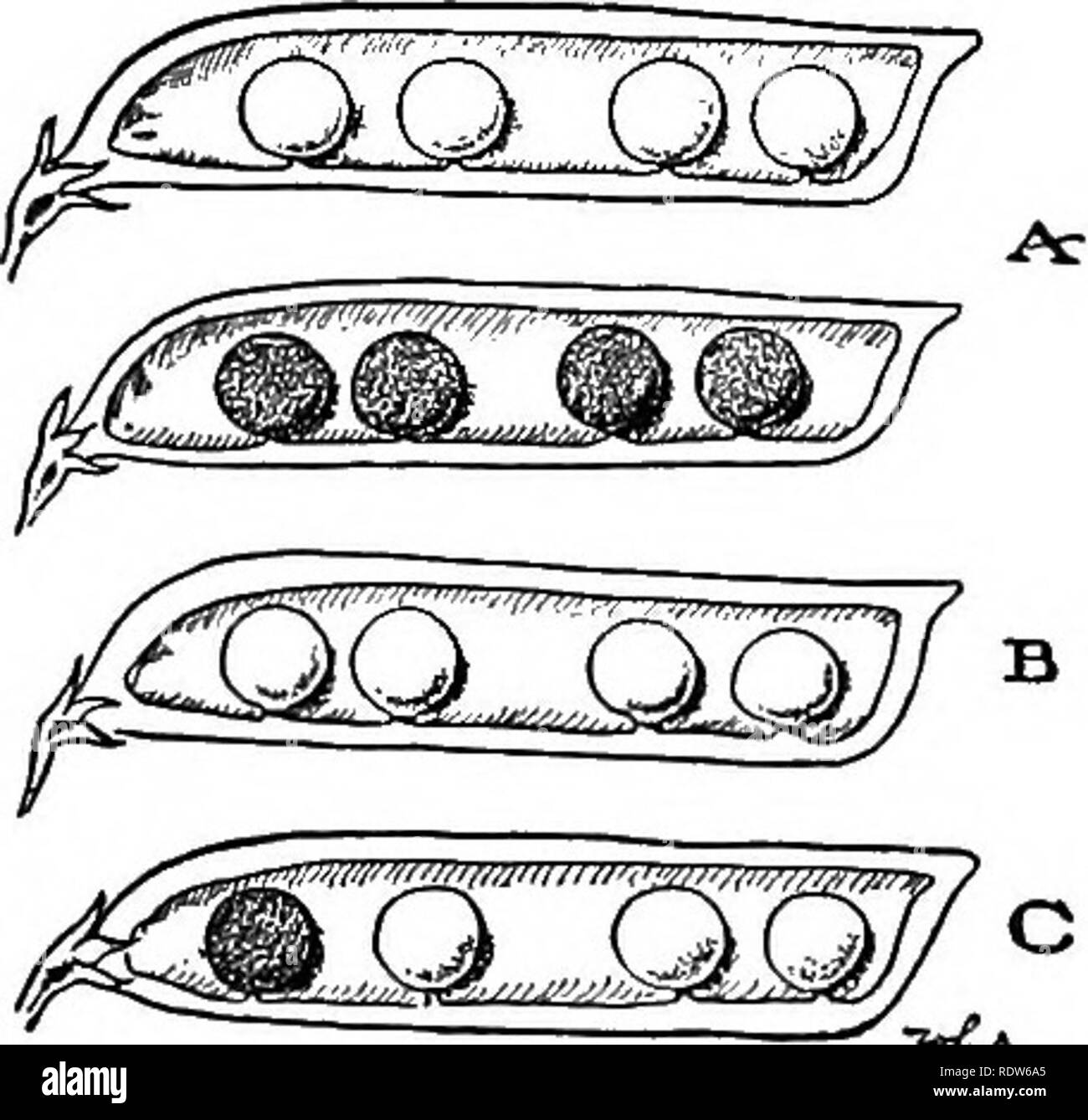 Laboratory problems in civic biology. Biology. PROBLEM 159 181 ... unparalleled nutrition