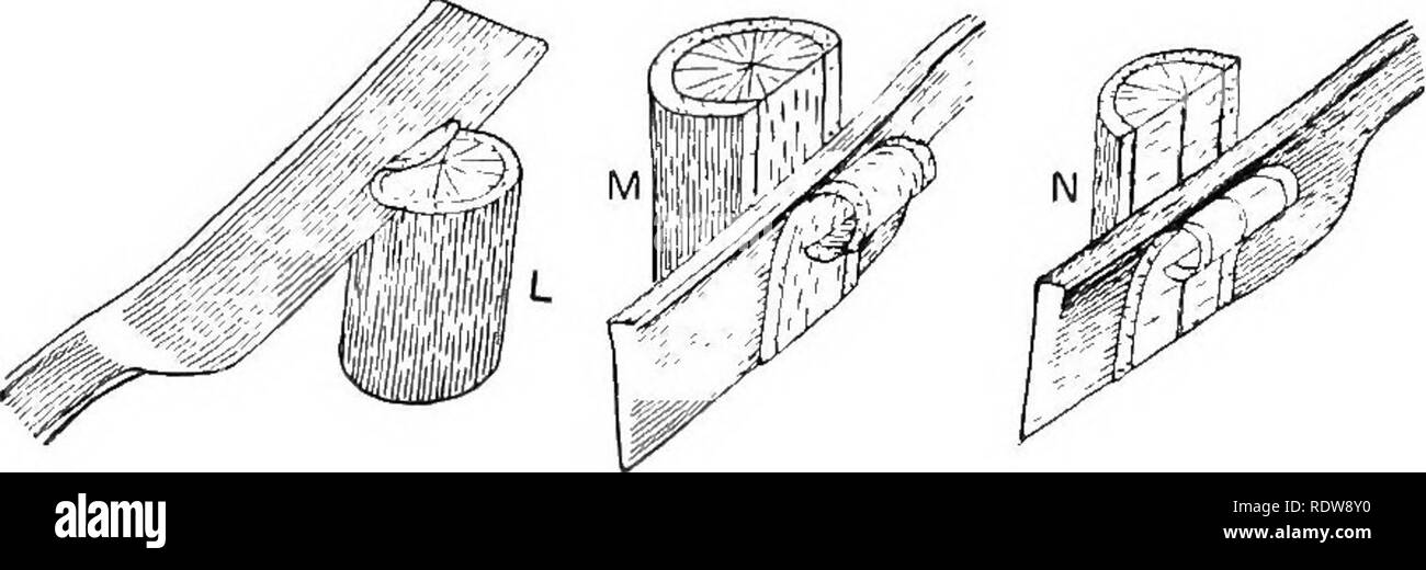 Microscope illumination Black and White Stock Photos & Images Alamy