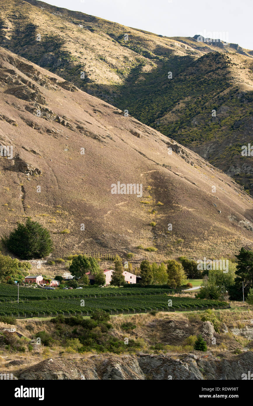 Chard Farm Vineyards is located in the Kawarau Gorge outside of Queenstown, Central Otago, South Island, New Zealand. Stock Photo