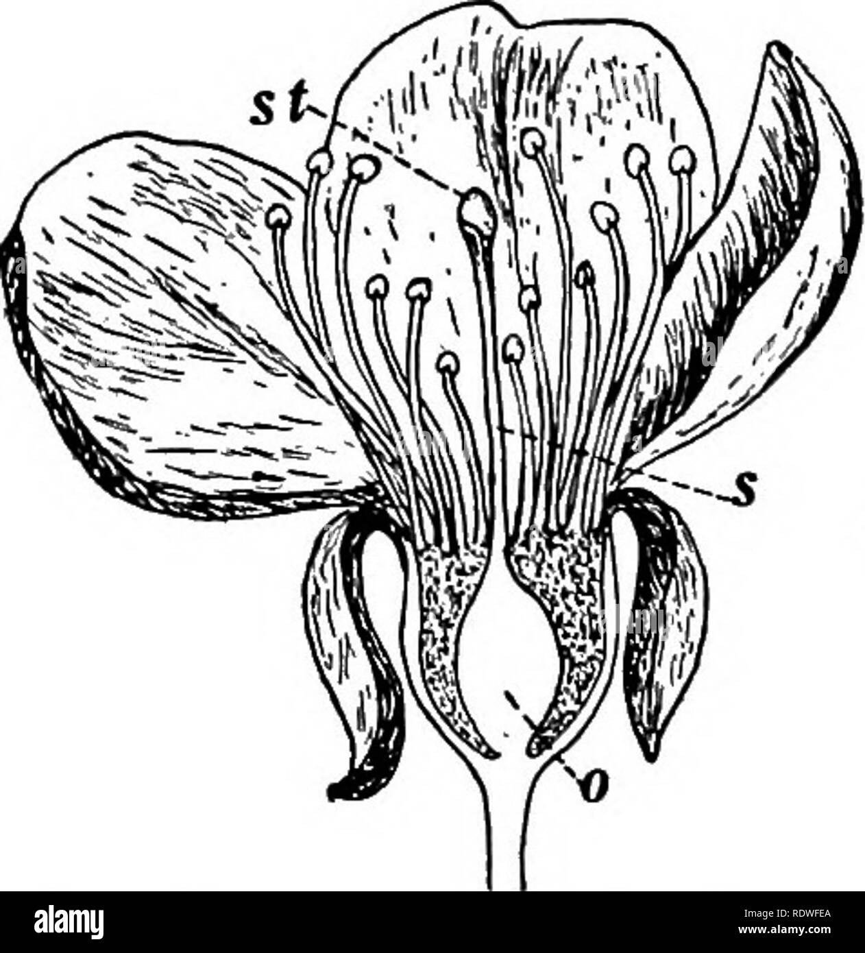 Unisexual Black and White Stock Photos & Images Alamy