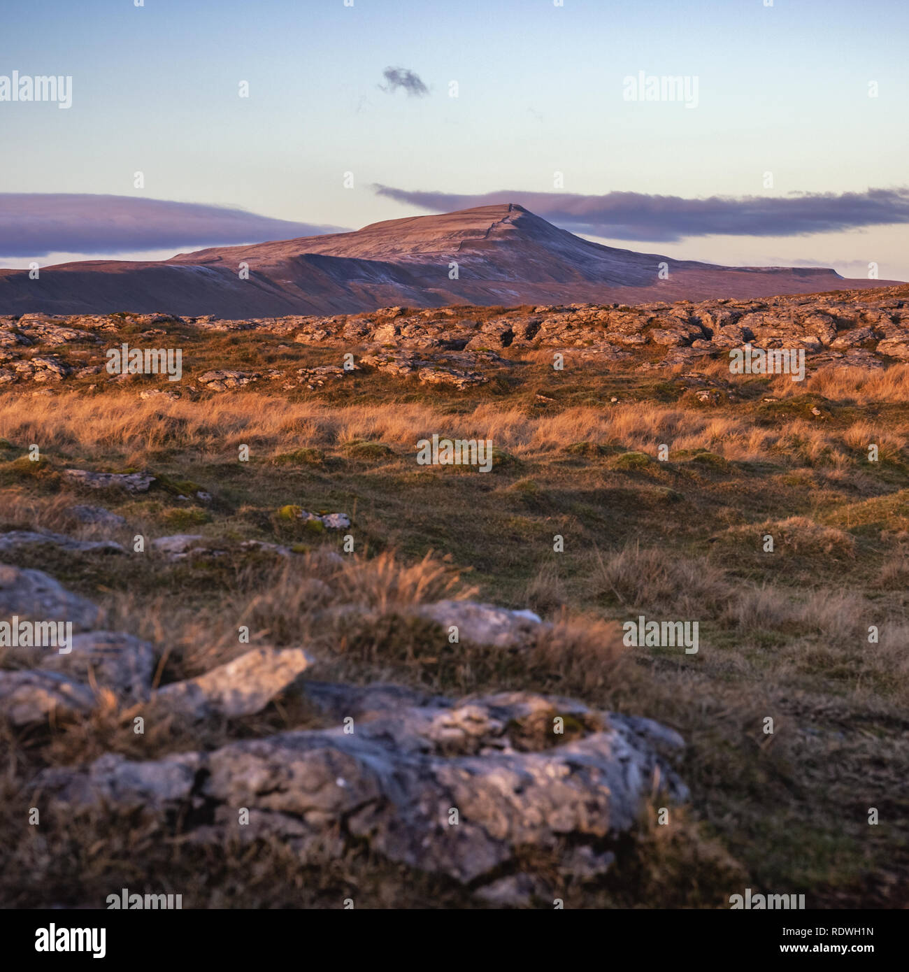 Whernside At 736m (2,415ft), the highest of the Yorkshire Three Peaks