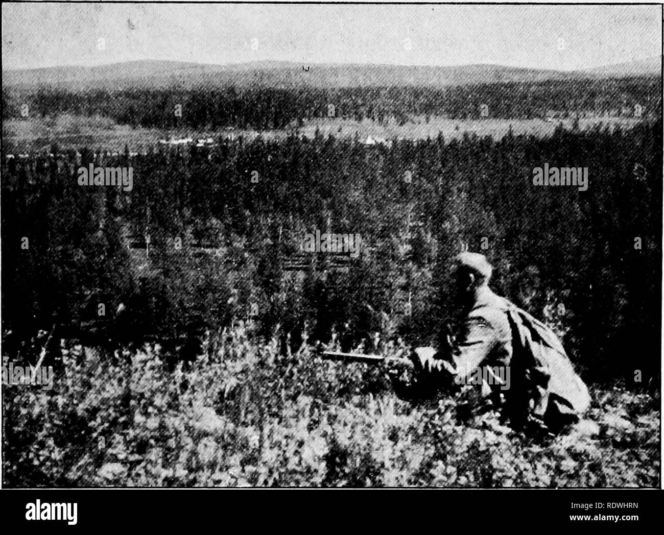 . The vegetation of the Siberian-Mongolian frontiers (the Sayansk region). Botany; Botany. The vegetation occurring in thickets and meadows also partly consists of plants which are characteristic of drier tracts. The following have been recorded by me as the most usual:. Fig. 53. Look-out on the wood-steppe on the Upper Bei-kem, near Ust Tara-kem. Scattered trees of larch, birch, and also some stragg- ling spruces. The forest-ground is light and open, here and there with rather small and dry natural meadows. Sanguisorba officinalis. Campanula rotundifolia, Thalictrum minus, Rumex arifolius, Cy Stock Photo