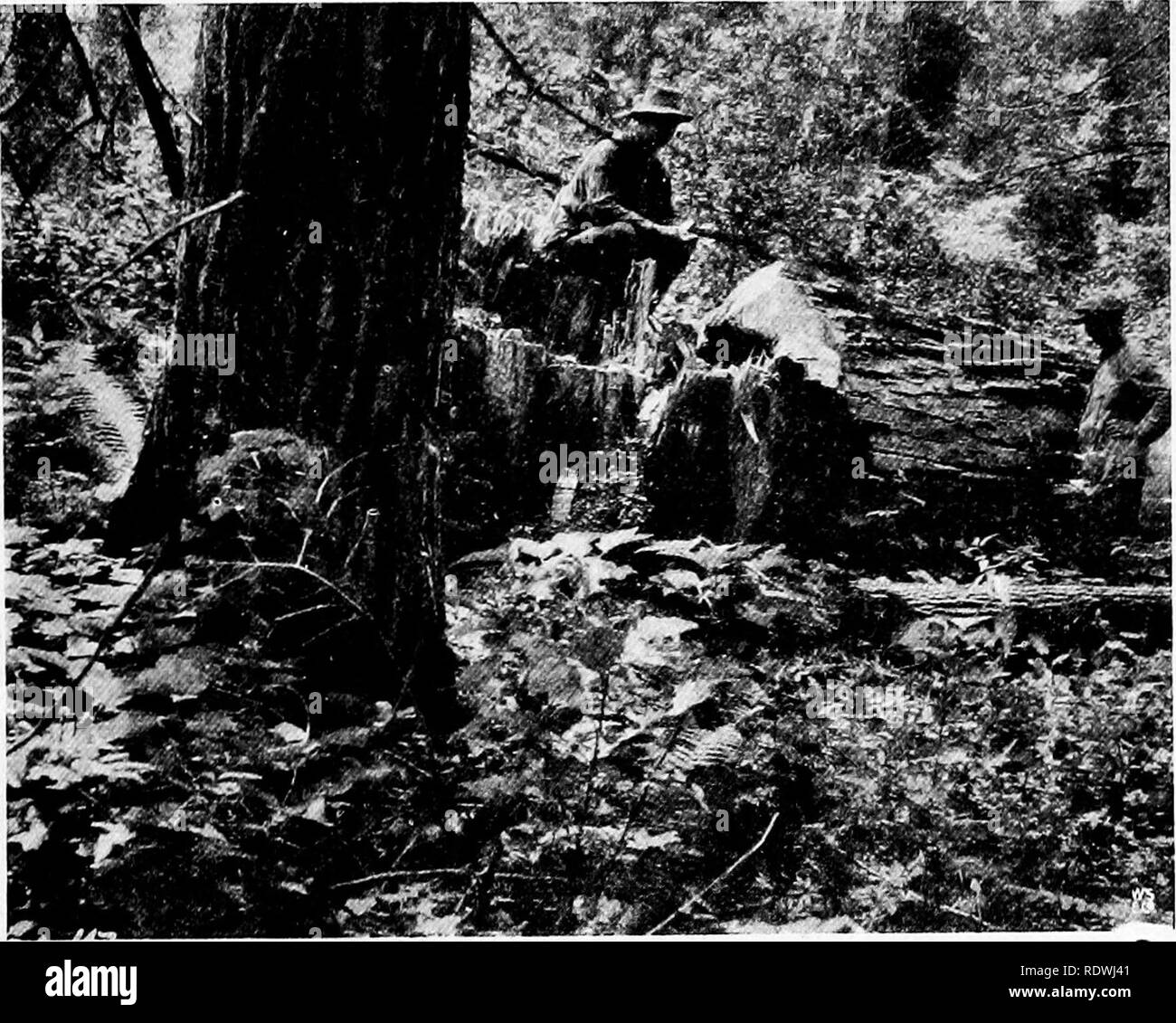 Measuring mans height Black and White Stock Photos & Images Alamy