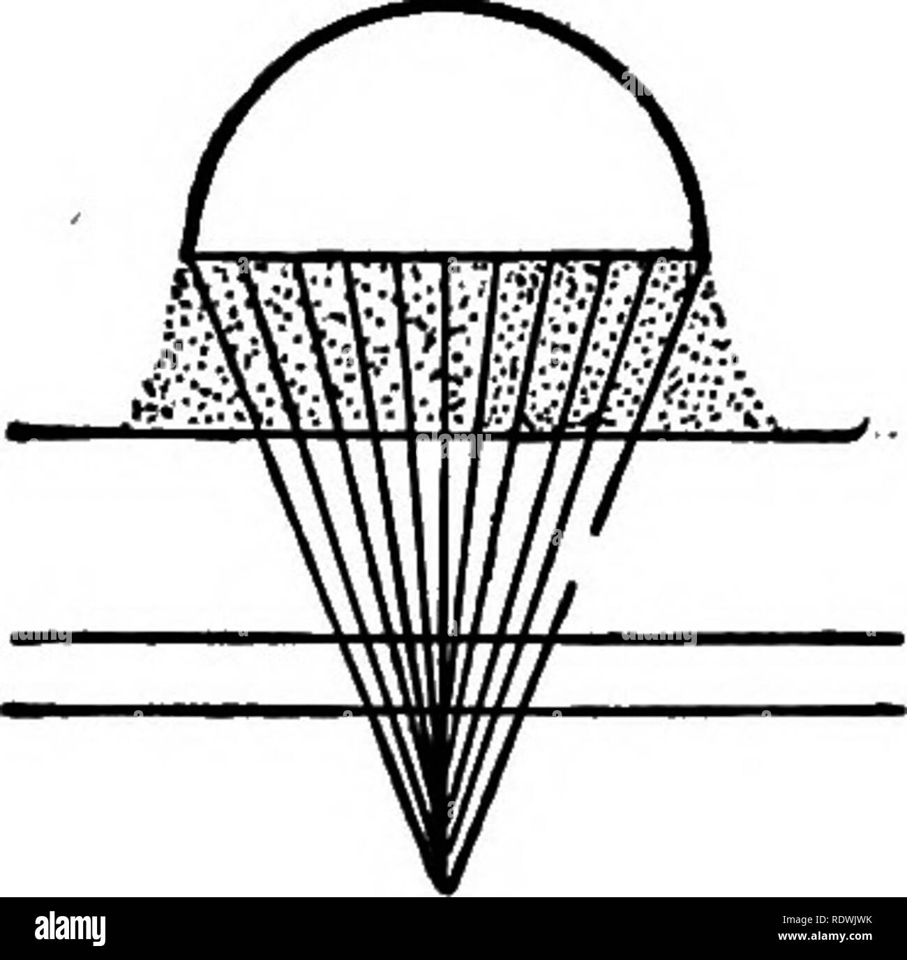 The Elements Of Vegetable Histology Plant Anatomy 1 2 3 4 5 Fig Immersion Objectives A Unless Immersion Fluids Are Used Considerable Light Is Lost Through Refrac Tion B Very Little