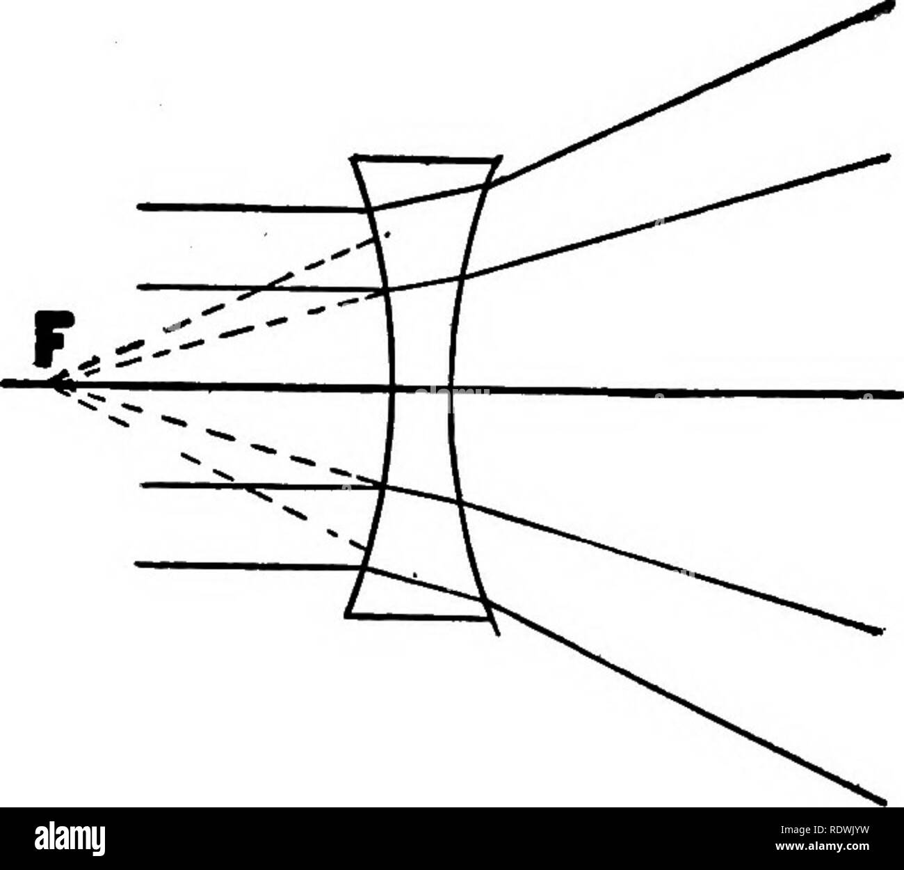 . The elements of vegetable histology. Plant anatomy. Fig. 10.—Refraction oLLight Rays by Lenses. 1. Double convex lens causes convergence of rays to focal point (F). concave lens causes divergence of rays from focal point (F). 2. Double observer, it will be found that the reasons for these apparent enlargements of the image are different in the two cases. Objects placed beyond the focal point of a lens will give rise to enlarged images, termed real images, which can be projected upon a screen. The degree of enlargement is directly proportional. Please note that these images are extracted from Stock Photo