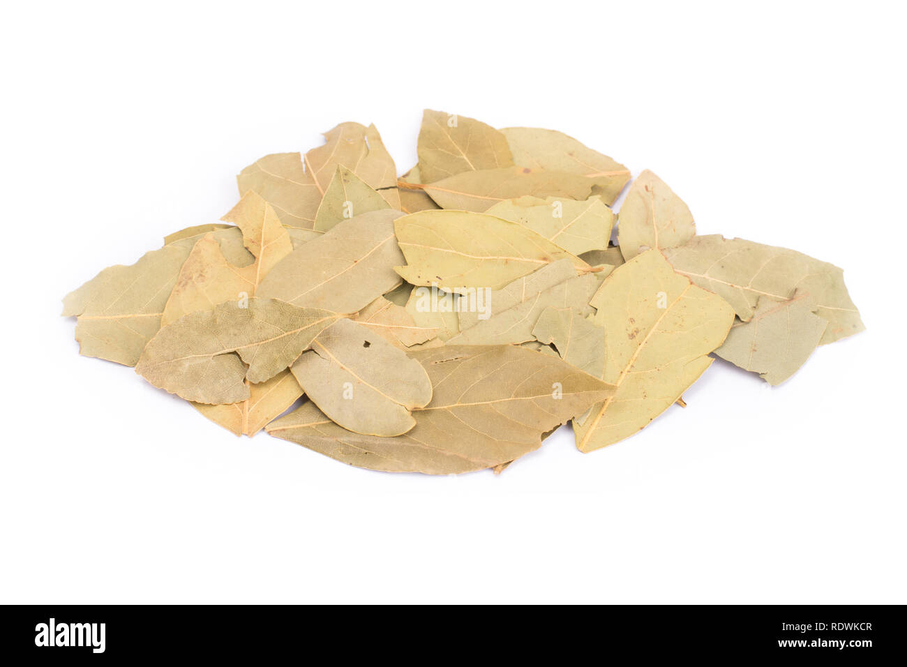 dry bay leaves isolated on white background. Stock Photo