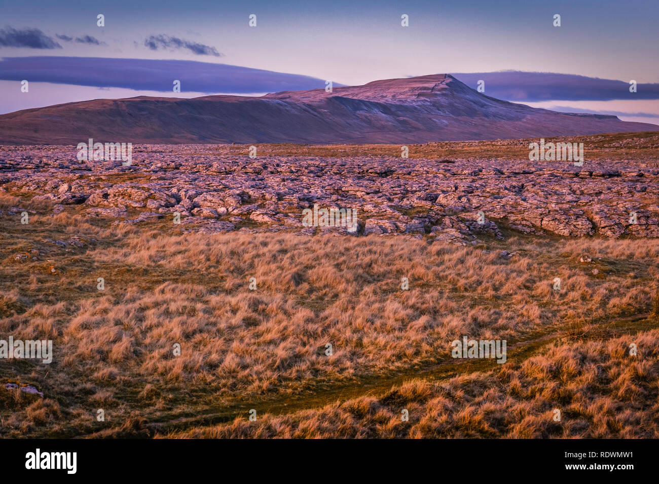 Whernside At 736m (2,415ft), the highest of the Yorkshire Three Peaks