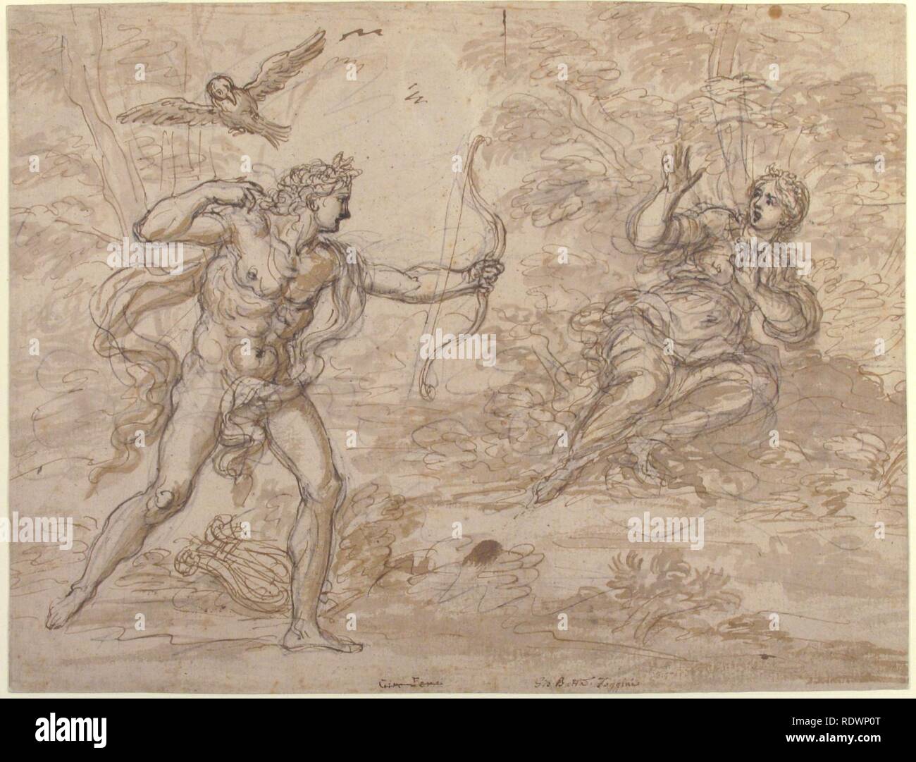 Apollo and Coronis Stock Photo Alamy