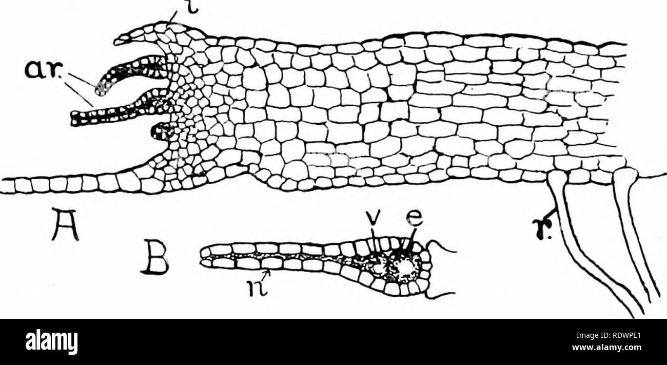 An introduction to the structure and 