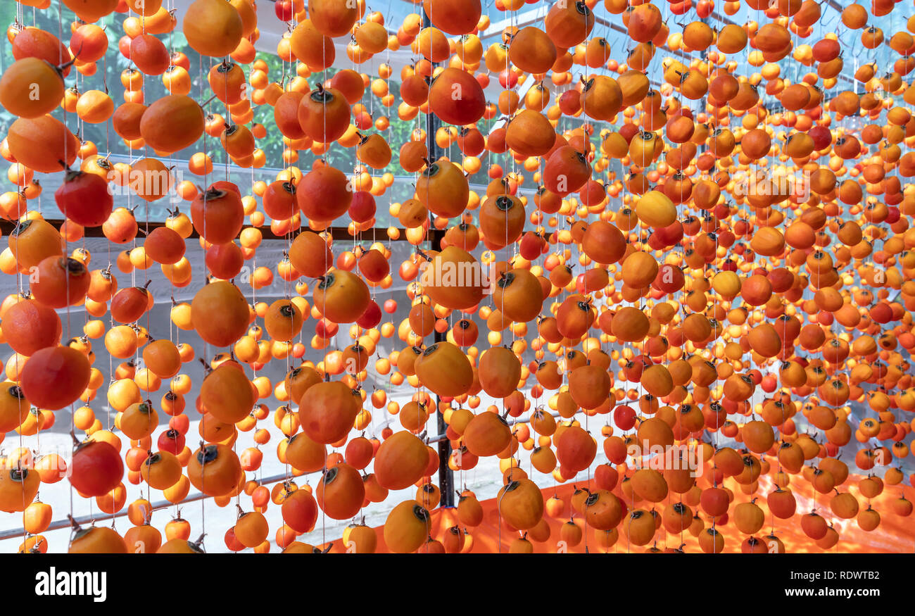 Dried persimmon is dried according to traditional Japanese technology ...